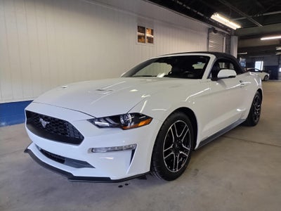 2022 Ford Mustang EcoBoost Convertible